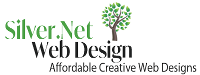 Silver Networks Web Design Logo